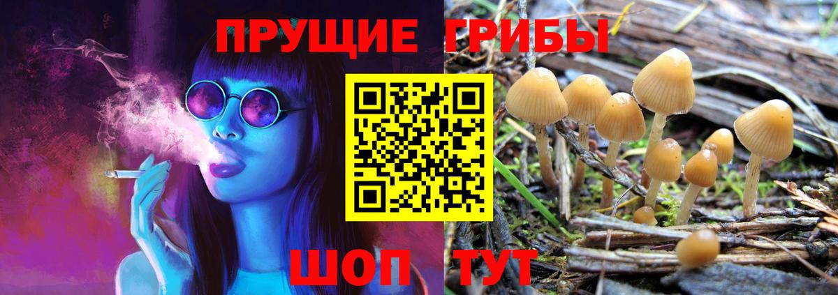 Галлюциногенные грибы Cubensis Ахтубинск