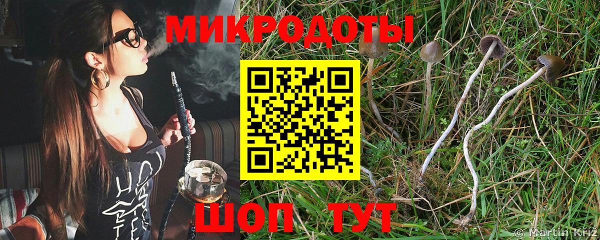 Псилоцибиновые грибы мухоморы  Ахтубинск 