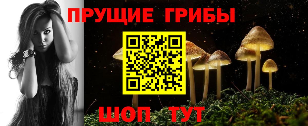 Галлюциногенные грибы Psilocybine cubensis Ахтубинск