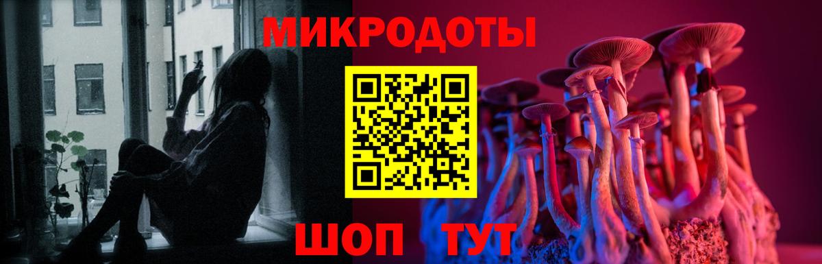 Ахтубинск  Псилоцибиновые грибы Psilocybine cubensis  Вход с VPN 