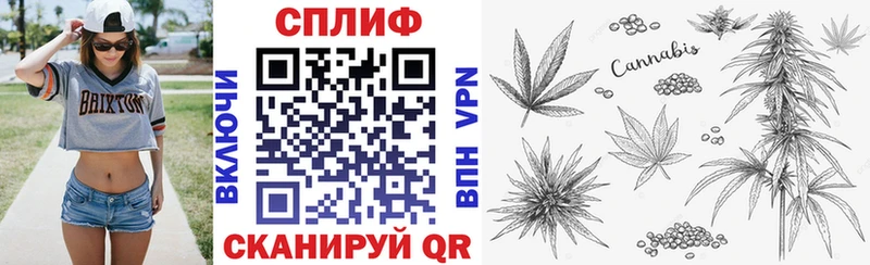 Бошки марихуана планчик  мега как войти  Ахтубинск 